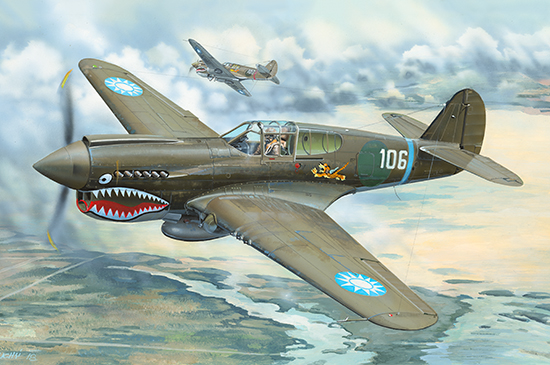 P-40E“戰(zhàn)鷹”戰(zhàn)斗機 02269